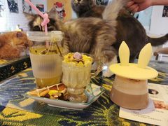 -平行世界·猫咖(首经贸店)
