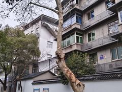 -文武王氏烧饼·无矾油条(西溪路店)