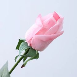 -小梨·OndaPro·专业脱毛连锁机构
