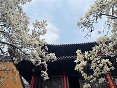 -灵谷景区