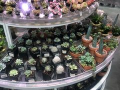 -KKV(深圳kk one 店)