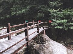 -湖州龙王山景区