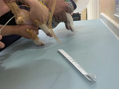 -美联众合动物医院·24h京西诊疗中心