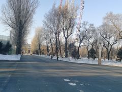 -哈尔滨文化公园