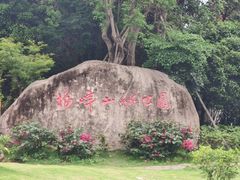 -梅峰山地公园