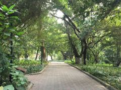 -中山大学（广州校区南校园）图书馆