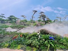 -罗红摄影艺术馆