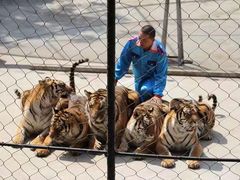 -大连森林动物园