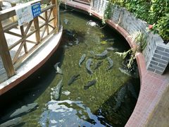 -侠成水上农庄(工业大道店)