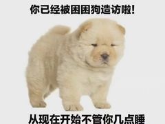 -魏家凉皮(协和店)