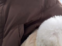 -佳雯宠物医院·皮肤科·内外科(春晓路分院)