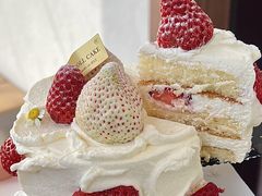 -卷心卷意·轻甜蛋糕(新光天地店)