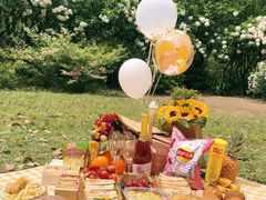 -上海共青森林公园