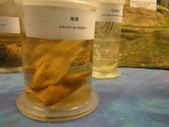 -四川农业大学(雅安校区)