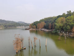 -滴水岩森林公园