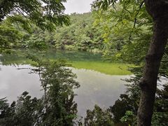 -无染寺