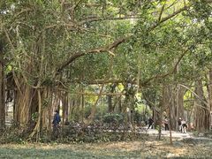 -北海市海滨公园