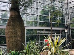 -南山植物园