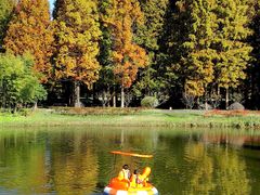 -黄海国家森林公园