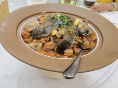 -洞庭家宴·头牌甲鱼(广渠门店)