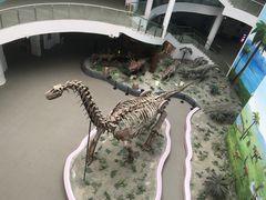 -辽宁古生物博物馆