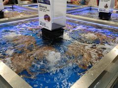 -盒马X会员店(上海森兰商都店)