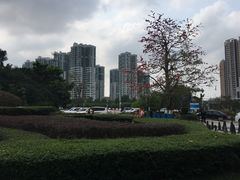 -中山市树木园