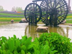 -南通洲际绿博园