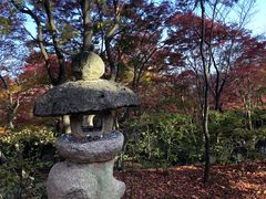 -常寂光寺