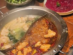 -东巴婆婆云南鱼豆花火锅(大东门店)
