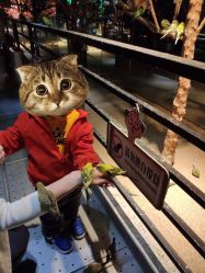 -酷嗒动物文化乐园(cutezoo西溪乐天城店)