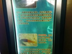 -北戴河圣蓝海洋公园