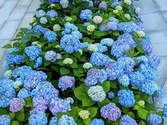 -安徽大学(龙河校区)