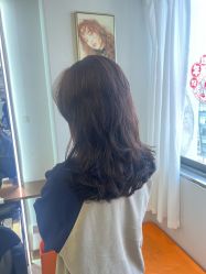 -镁连社·美联社