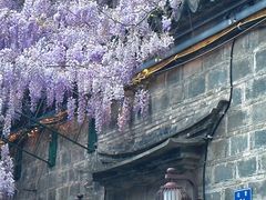 -老门东历史文化街区