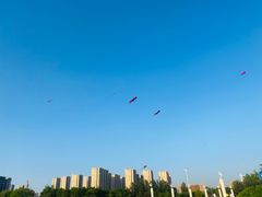 -丁香湖公园