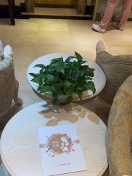 -北京俪婴妇产医院(朝阳大悦城店)