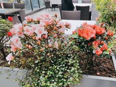 -渝信川菜(南滨店)