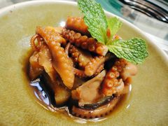 揉煮八爪鱼-金龙·打边炉(南京西路店)