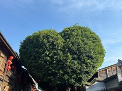 -麦当劳(南后街店)