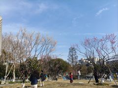 -葛仙湖公园