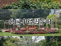 -九龙公园