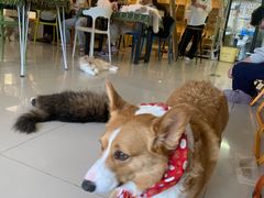 -平行世界·猫咖(首经贸店)