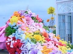 -杭州湾海上花田景区