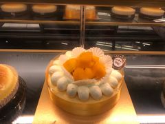 -采蝶轩(东华店)