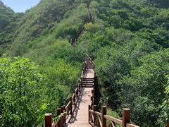 -大岭沟猕猴桃谷风景区