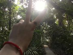 -武吉知马自然保护区