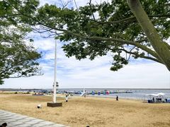 -碧海金沙