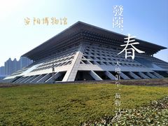 -安阳博物馆