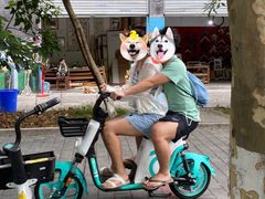-黄桷坪涂鸦艺术街